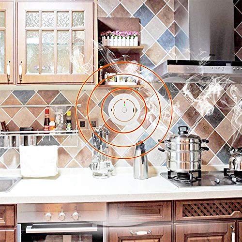 Combination Smoke and Carbon Monoxide Detector Alarm, 2Pack GLBSUNION