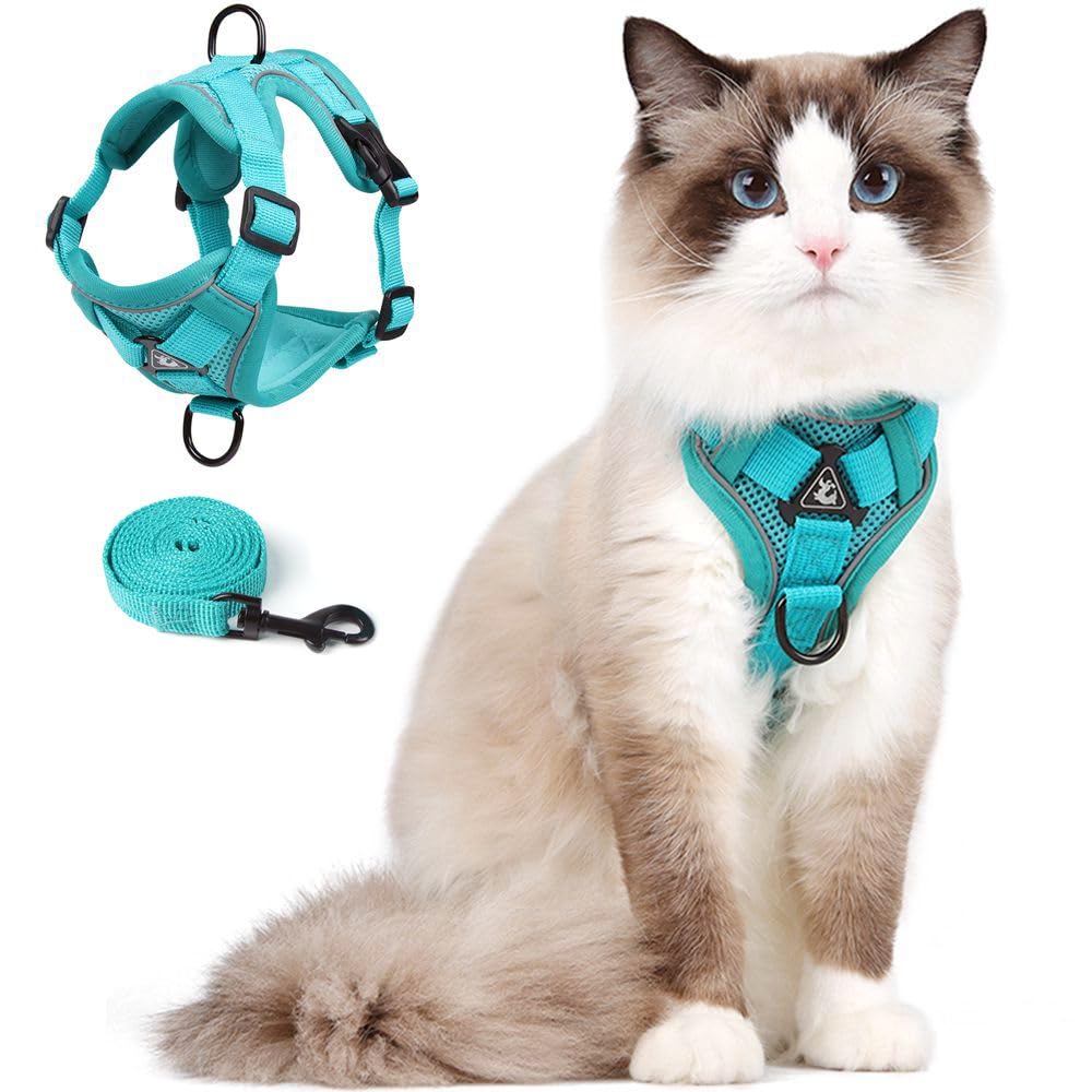 Cat Harness and Leash Set, Upgraded Escape Proof Adjustable Kitten Vest with Lead for Small Cat Outdoor Walking, Soft Breathable Mesh Jacket with Reflective Strips for Dark Night, S, Emerald Green — image 1