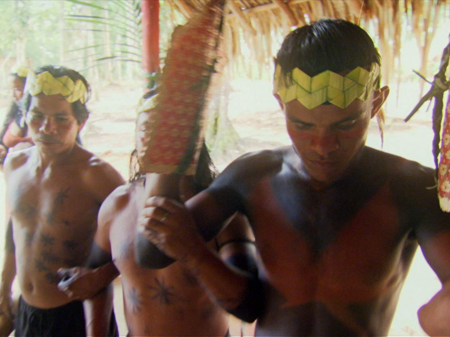 Watch Wildest Latin America Prime Video