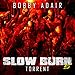 Slow Burn: Torrent: Slow Burn, Book 5