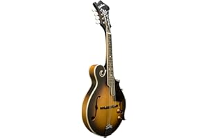 Washburn M3E Mandolin Pack with F-Style Mandolin with Pickup, Gig Bag, Pitch Pipe, Strap, Picks, Booklet, World Class America