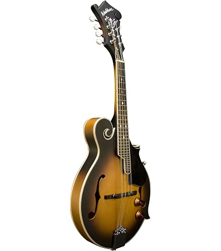 Amazon.com: Kentucky KM-650 Standard F-model Mandolin - Sunburst