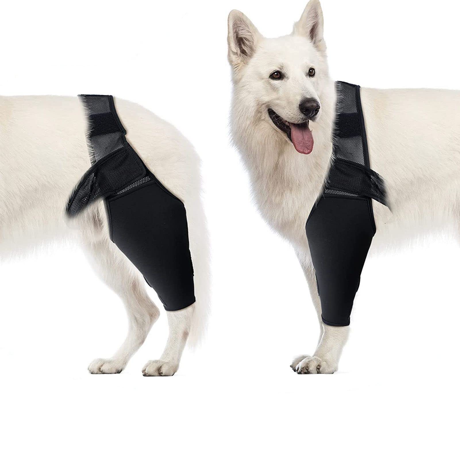 Dog Elbow Brace & Support - Compression Wrap for Canine Elbow & Shoulder, Dysplasia, Arthritis, Calluses, Sores, Dislocation (M)