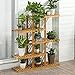 Magshion Wooden Flower Stands Plant Display Rack Choose 3 4 5 6 Shelf (5 Shelf)thumb 3