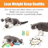 Speedy Panther 12 Pcs Cat Toys Indoor Plush Catnip Teaser Wand Spring Kit view 7