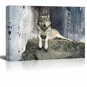 Wolf Laying On Boulder - Canvas Art