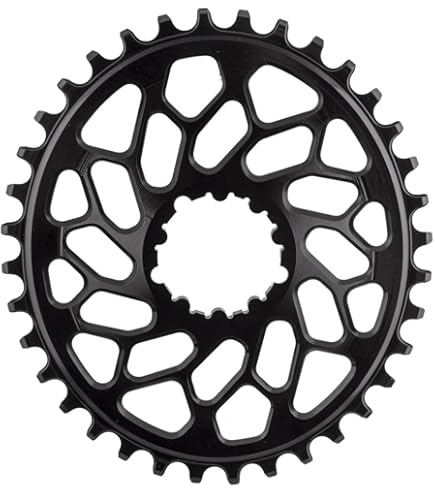 Amazon.com : SRAM X-Sync 2 Eagle Direct Mount Chainring 36T