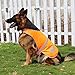 Hiado Dog Reflective Vest High Visibility Safety Jacket for Walking Running Hiking to Keep Dogs Visible Safe from Cars and Hunting Accidents Orange XXL