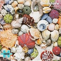 Seashore 1000 Piece Puzzle + Mini Poster by Re-Marks