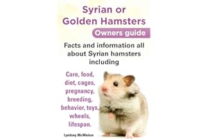 Syrian or Golden Hamsters Owners guide Facts and information all about Syrian hamsters including care, food, diet, cages, pre