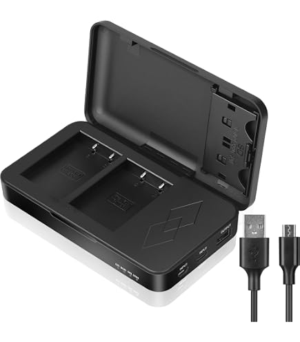 Amazon.com : Sunny-room Battery Charger for Fujifilm FinePix