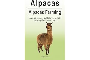 Alpacas. Alpacas Farming. Alpacas Farming guide to care, diet, breeding, healt