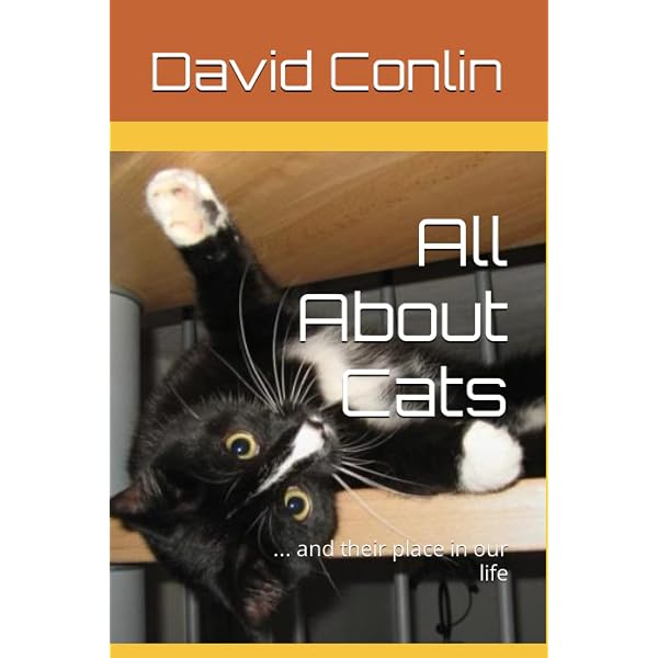 Amazon.com: It's a Cat's World . . . You Just Live in It