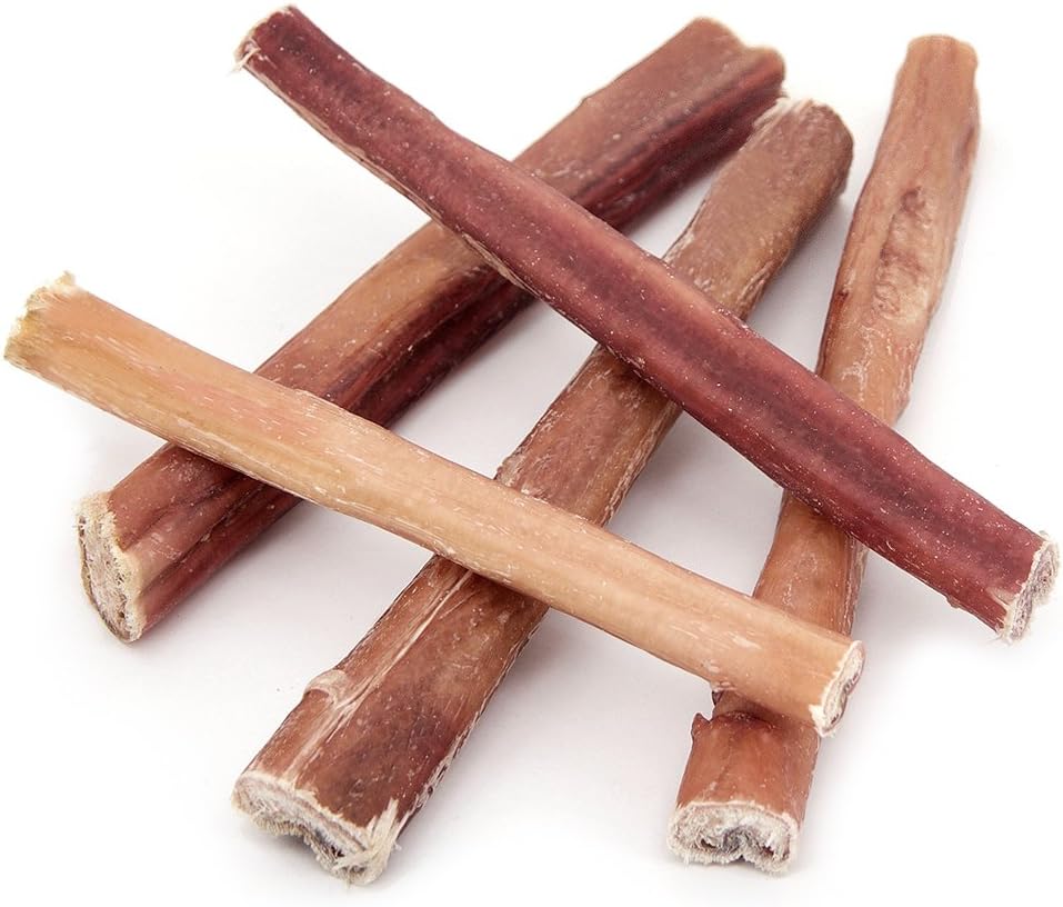 Best boston market red carpet