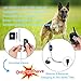 PetExpert Dog Shock Collar with Leather Lanyard Remote 330yd Waterproof Rechargeable Dog Training Collar Electric Collar with Beep Vibration Shock&LED Light Dog Bark Collar for All Dogs(10Lbs-100Lbs)