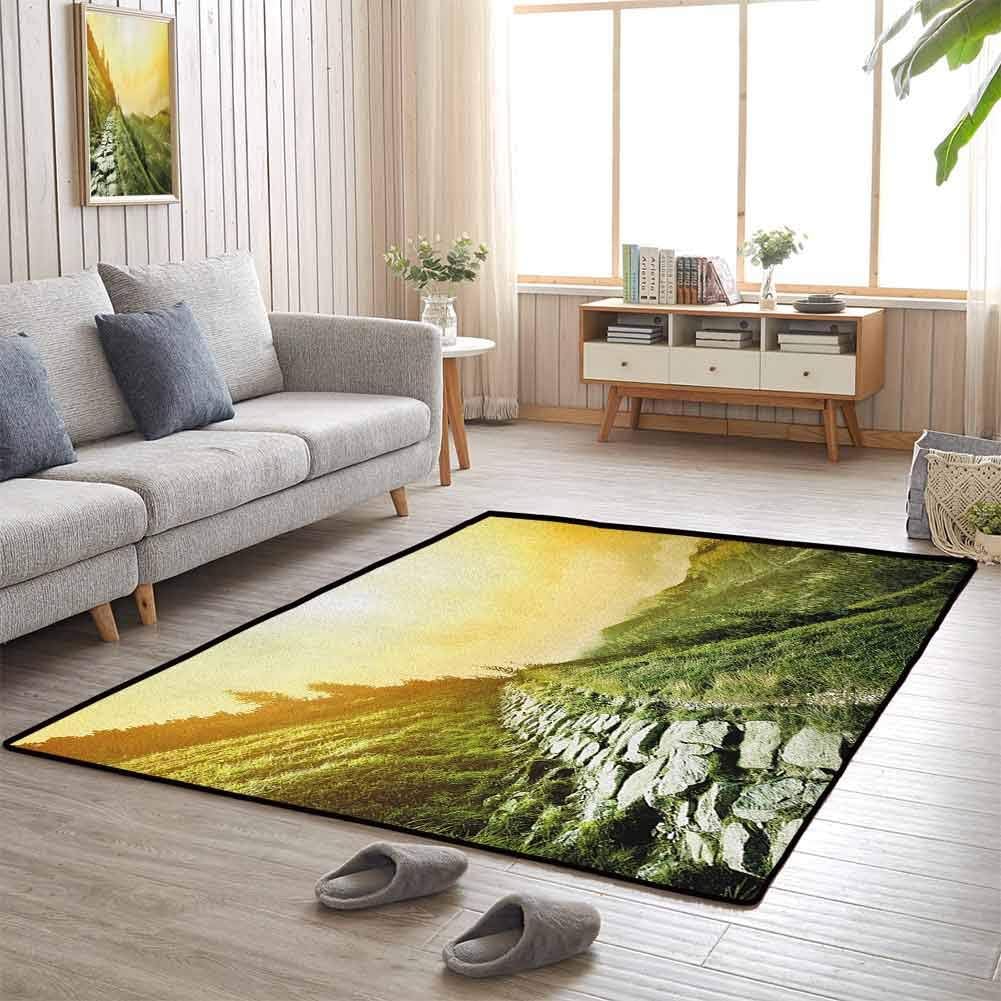 Soft Bedroom Rugs, Anti-Fatigue for Standing Comfort Presents Decor Idea for Bedroom Living Room, Inspirational | Mountain Valley Path of Life Alone Zen Dawn Summer Landscape - 4'x6'