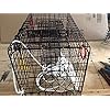 Maryland-Blue-crab-pot-trap-Chesapeake-Atlantic-blue-crab-PVC-coated-metal-Heavy-Duty