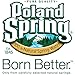 Poland Spring 100% Natural Spring Water (700 ml bottles, 24 pk.)