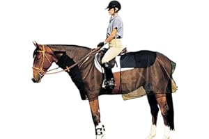 Cashel Quiet Ride Horse Bug Armor Bundle Set