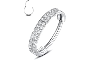 Yrogcu 20G 18G 16G 14G Single/Double Hoop Stainless-Steel Seamless-Hinged-Piercing Segment-Clicker Nose-Ring-Hoop : Diameter 6mm 8mm 10mm 12mm Cartilage Earrings