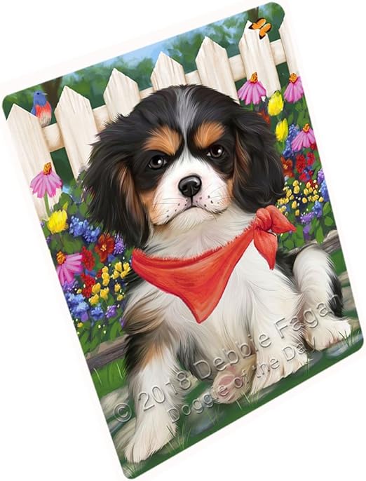cavalier spring charles spaniel