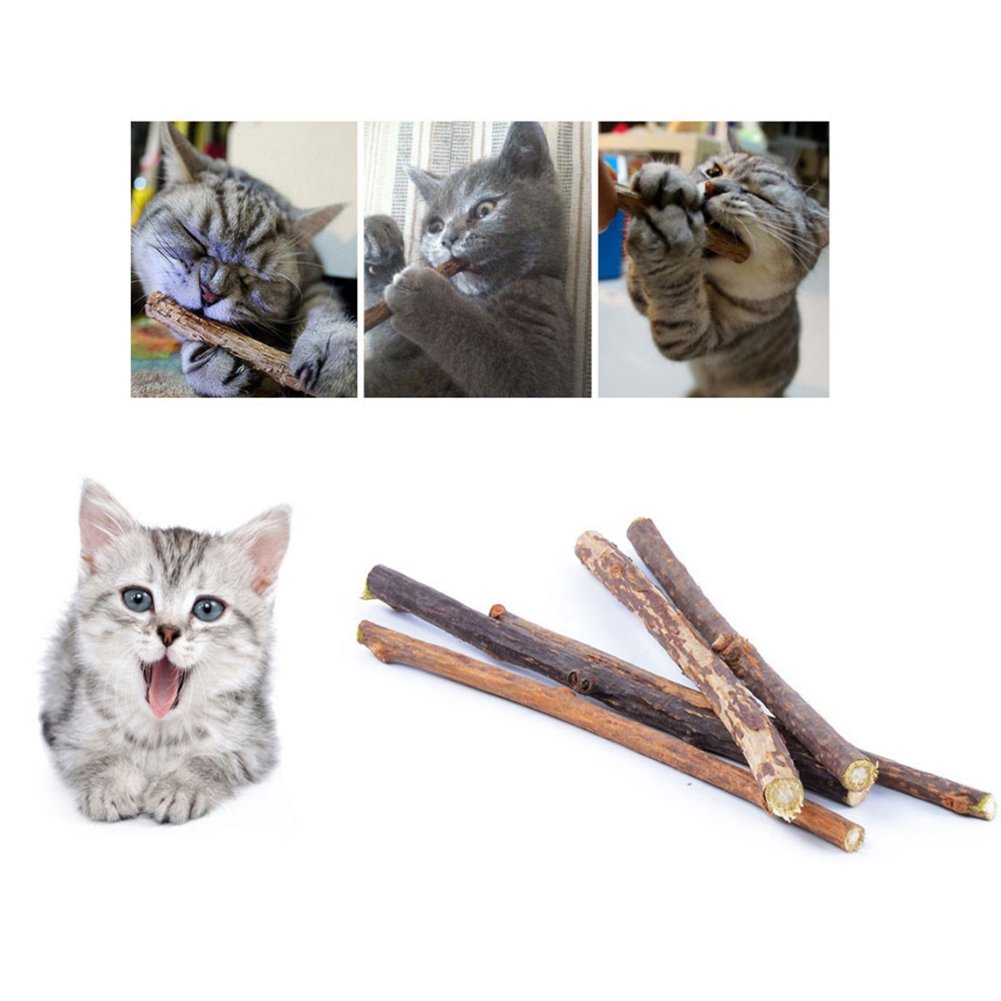 PanDaDa Catnip Sticks Matatabi Cat Stick Silvervine Chew Sticks for