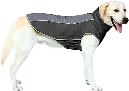 doberman winter coat amazon