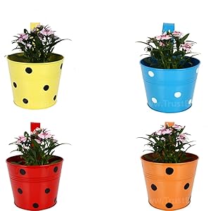 TrustBaske Set of 4 - Single Pot Railing Planter - Red,Yellow,Blue,Orange