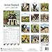 German Shepherd Calendar 2017 - Dog Breed Calendars - 2016 - 2017 wall calendars - 16 Month by Avonside