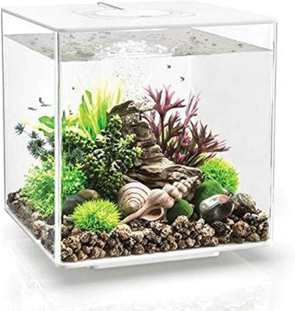 cube aquarium