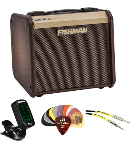 Amazon.com: Fishman Loudbox Micro 40-Watt Acoustic Guitar Combo