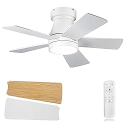 Ceiling Fans with Lights, 30 inch Low Profile