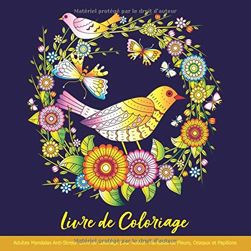 Livre De Coloriage Adultes Mandalas Anti Stress Livre De