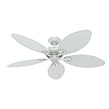 Hunter Bayview Indoor / Outdoor Ceiling Fan with