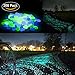 PROMENE 200pcs Glow in the Dark Garden Pebbles, Green and Blue for Walkway Yard and Decor DIY Decorative Gravel Stones (200PCS)