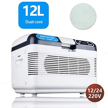 FDY 12L Refrigerador del Coche 12V / 24V / 220V Cool and Warm ...