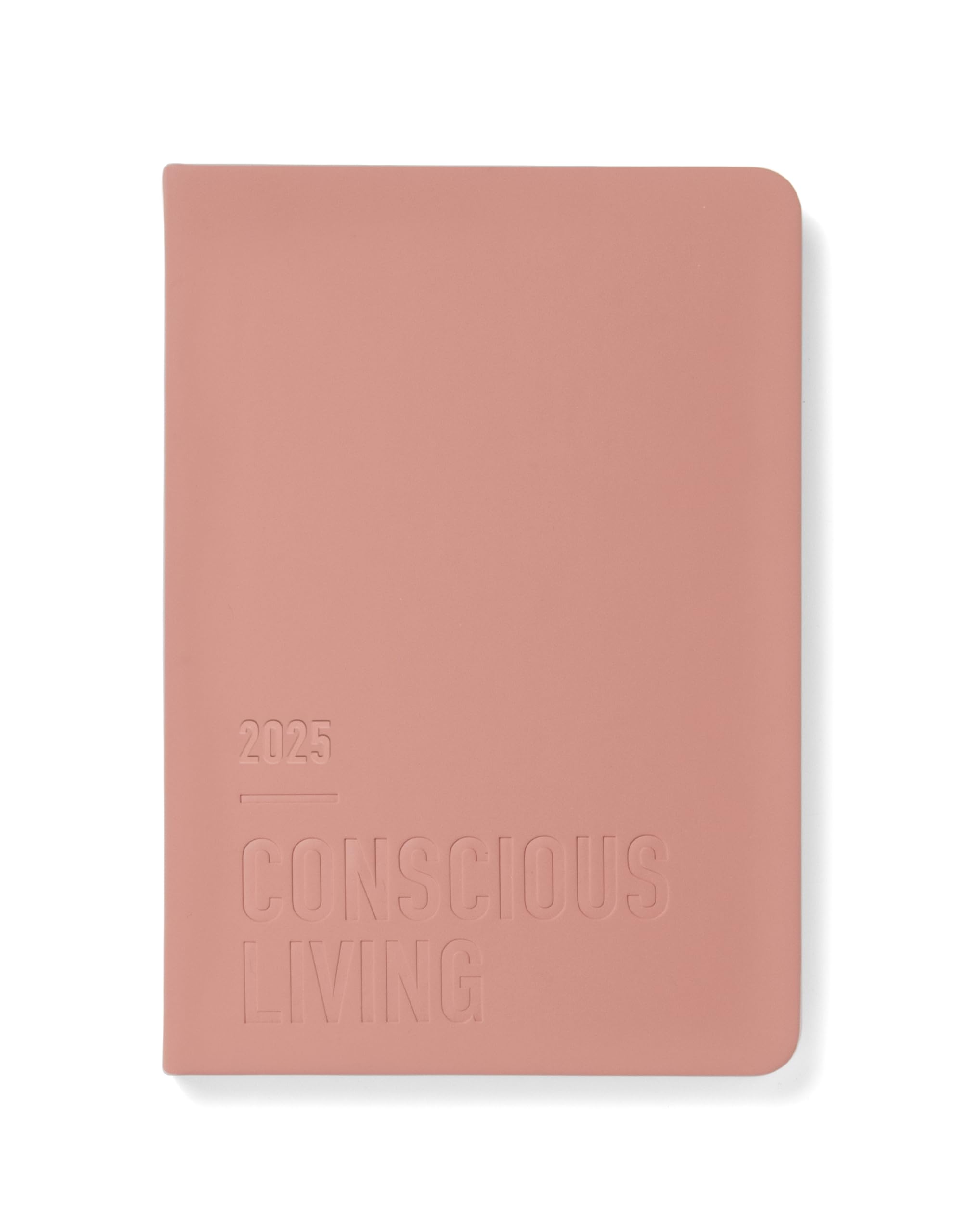 Letts of London Conscious A5 day to a page with appointments 2025 diary - clay