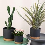 ZMTECH 16.5 cm Plant Pots with Drainage Holes and Detachable Saucer (Set of 2) view 5