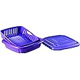 Hutzler Bitty Box Berry Keeper, 9 oz, purple (73PU)