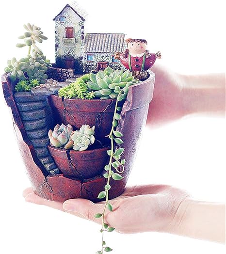 Amazon 手描植木鉢 サボテン 多肉植物 観葉植物の鉢 植物プランター 空の庭 ファーストフロア 鉢