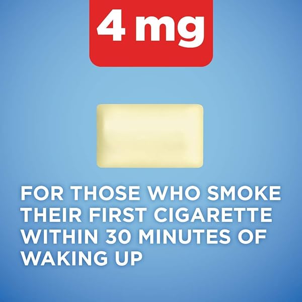 AMAZON BASIC CARE UNCOATED NICOTINE POLACRILEX GUM 4 MG, ORIGINAL FLAVOR, STOP SMOKING AID, QUIT SMOKING, NICOTINE REPLACEMENT, 220 COUNT