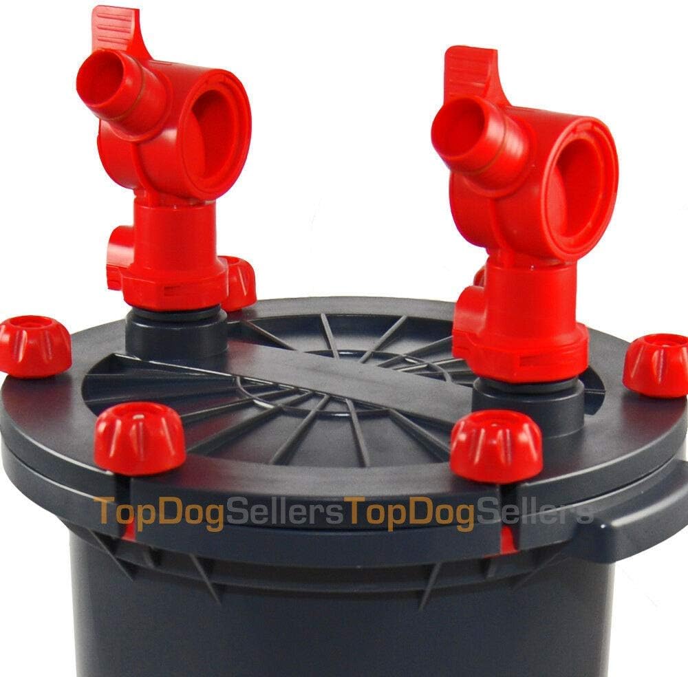 how often do you need to feed a hamster