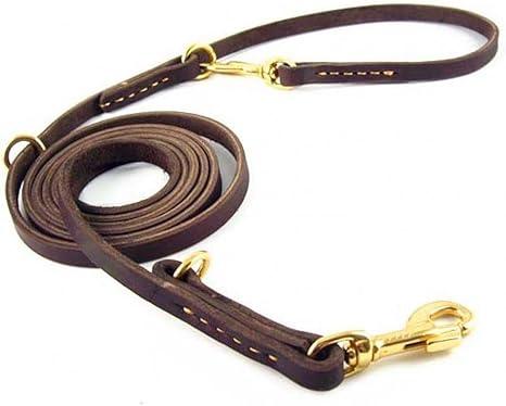 8 foot leather dog leash Clearance