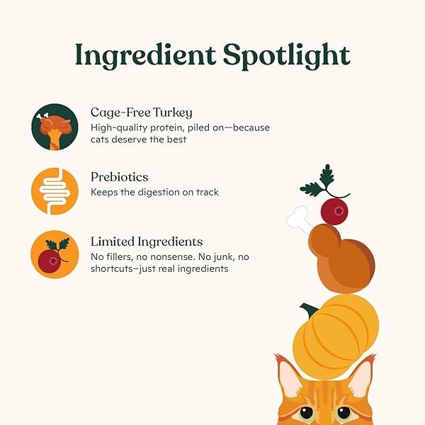 MADE BY NACHO BONE BROTH CAT FOOD TOPPER FOR HYDRATION AND PICKY EATERS – ADD PROTEIN AND FLAVOR TO YOUR DRY CAT FOOD – SUPPORTS OPTIMAL NUTRITION, DIGESTION, SKIN & COAT, 11 OZ. TURKEY