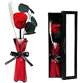 Forever Flower, Preserved Rose Birthday Gifts for Women, Her, Wife, Mom, Prime Eternal Roses Gifts for Mothers Day, Valentines Day, Anniversary, Graduation, Wedding, Single Rose Real Rose (Red)