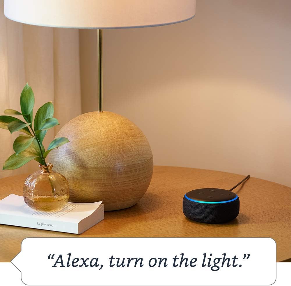 echo dot with amazon smart plug