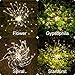 Outdoor Solar Garden Decorative Lights-Mopha Solar 105LED Powered 35Copper Wires Stake Landscape Light-DIY Flowers Fireworks Stars for Walkway Pathway Backyard Christmas party Decor (Warm White 2Pack)