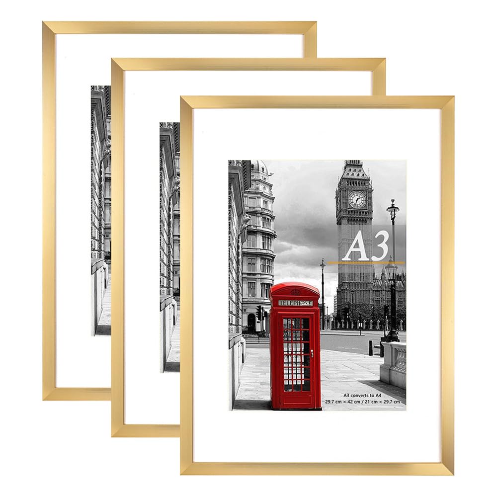 Scholar Tree Gold Photo Frame Picture Frames, A3 with Mat for A4 Mount Picture, Set of 3, Wall Mountable