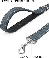 Taglory Dog Leash for Medium Large Dogs Reflective Padded Handle 2.5 cm x 180 view 2