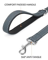 Taglory Dog Leash for Medium Large